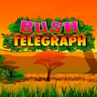 Bush Telegraph game thumbnail